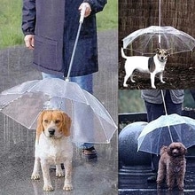 Pet Umbrellas