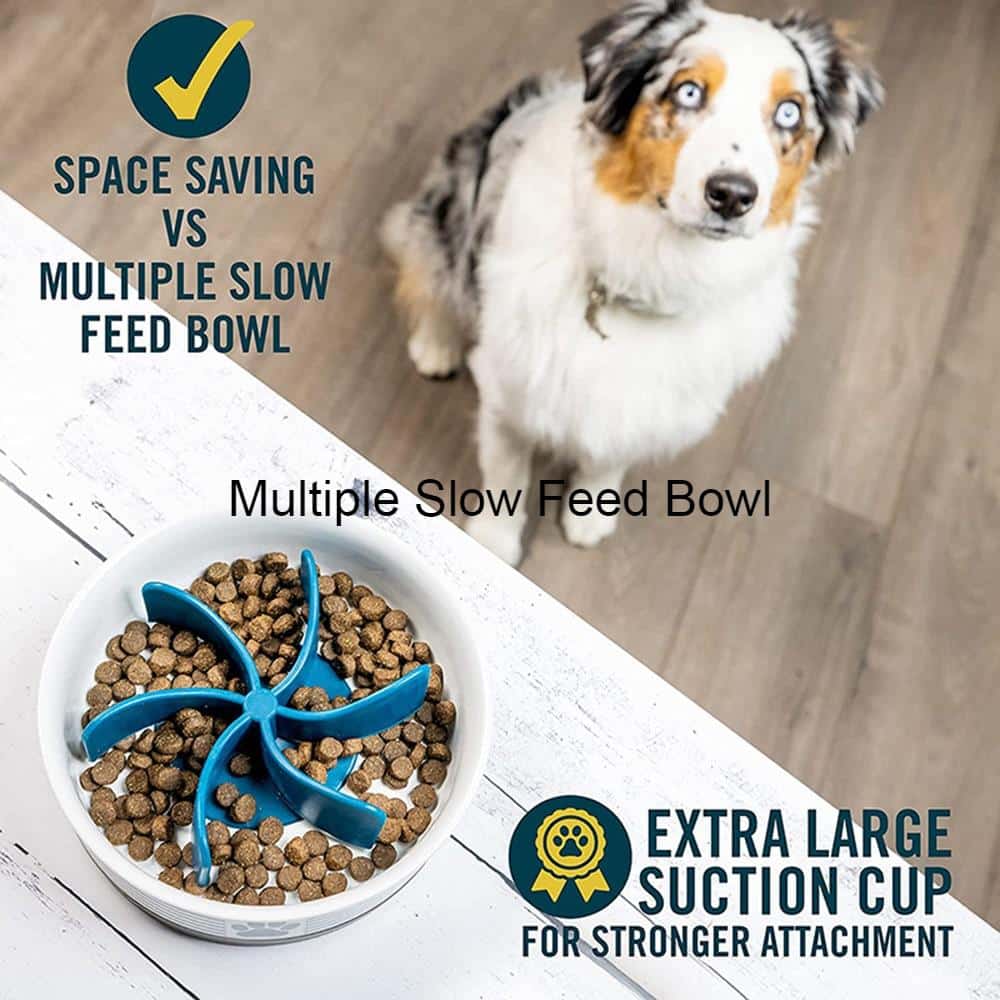 Spiral Slow Anti Choke Feeder for Dogs