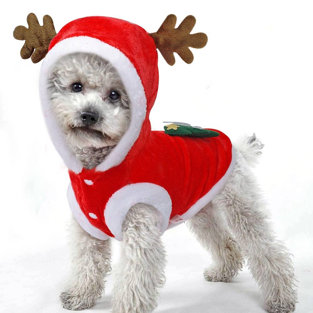 Christmas Small Dogs Santa Costume
