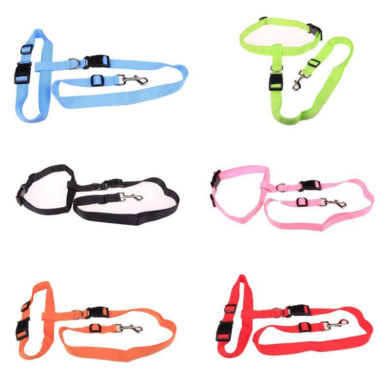 Attractive Traction Pulling Leash