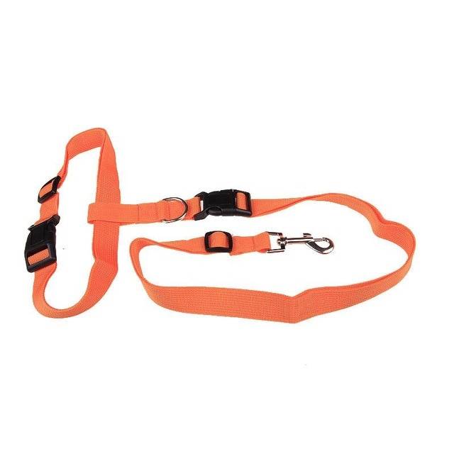 Attractive Traction Pulling Leash